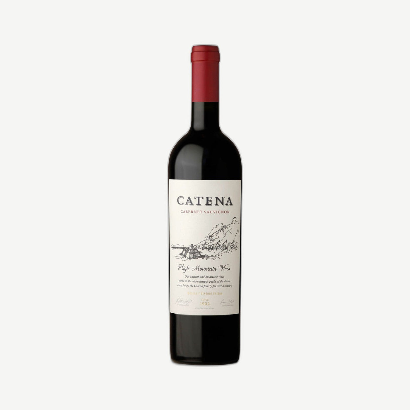 Catena Cabernet Sauvignon 2019 750ml Mendoza Argentina Wine