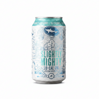 DFH Slightly Mighty Ipa 6pk 6pk Cans Dog Fish Head