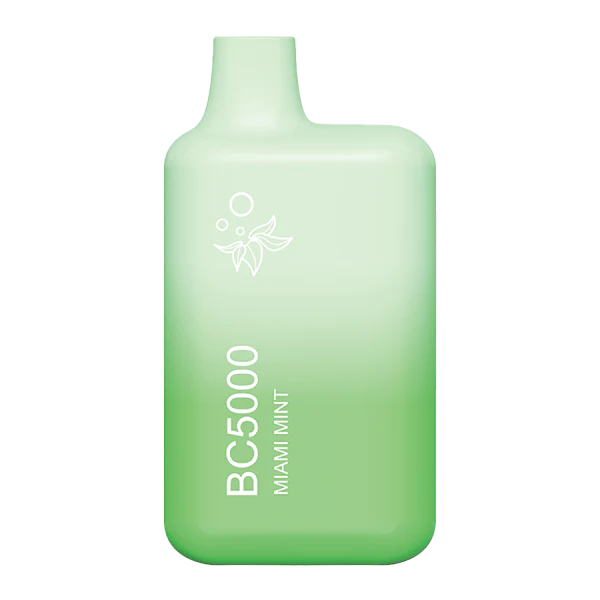 EB 5k bc5000 Miami Mint Elf Bar 5k