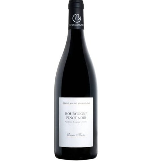 Damien Martin Bourgogne 2023 Burgundy Region of France Wine