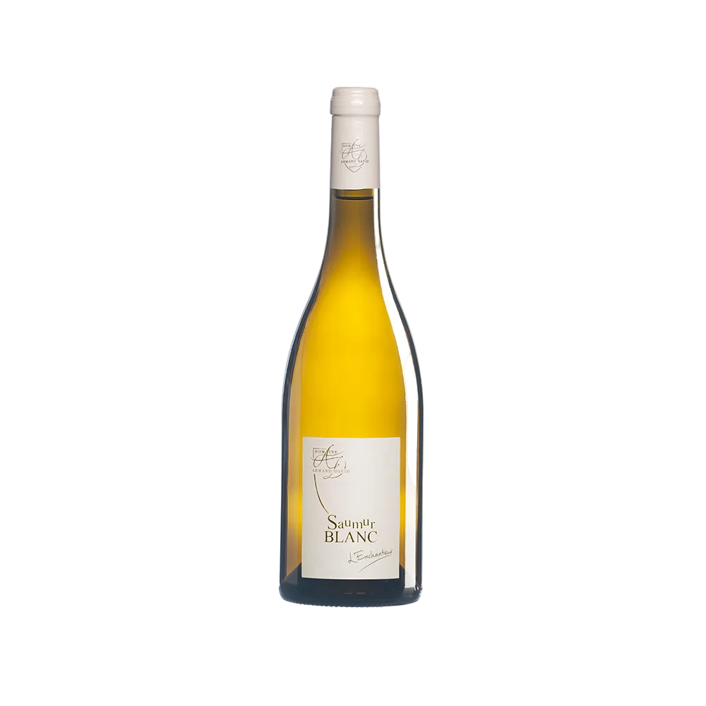 Dom Armand Saumr Blanc Enchant Enchanter France Wine